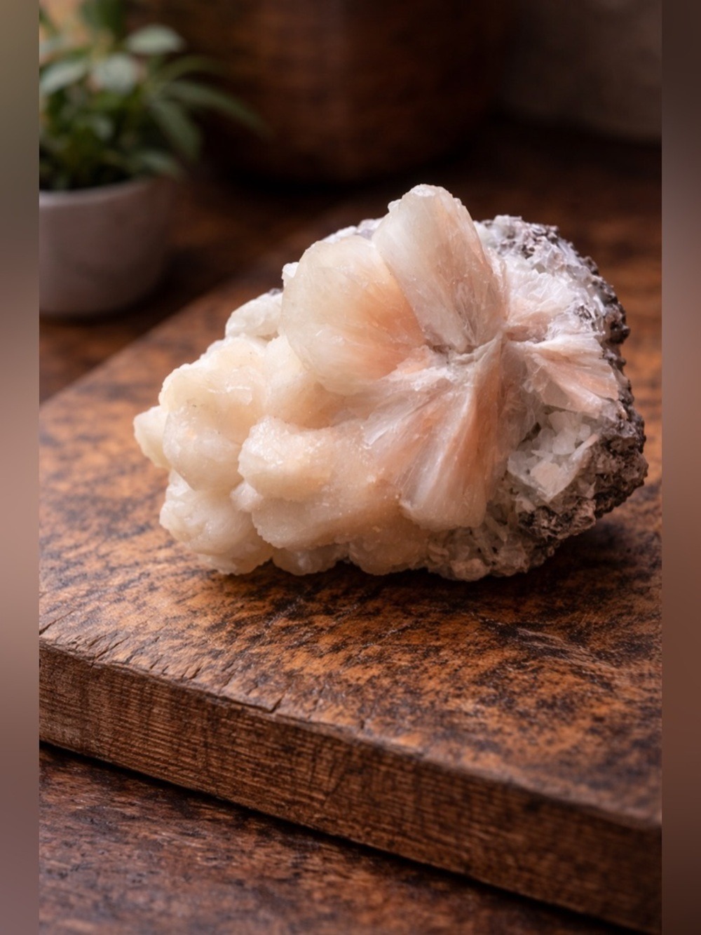 Natural Peach Stilbite Crystal with Chlorite Cluster Large 952 Grams 5in Long